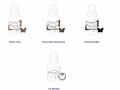 9d71bce3ae7fbfb94bcf018e7615c074