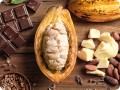 MASTER MARTINI Masło kakaowe ARIBA 1 kg Burro di Cacao