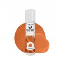 Barwnik w aerozolu (spray) Food Colours 100 ml 1 szt. pomarańczowy